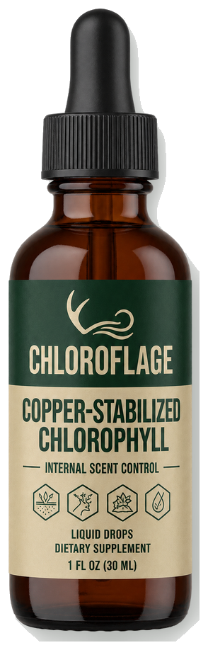 Chloroflage copper-stabilized chlorophyll dropper bottle